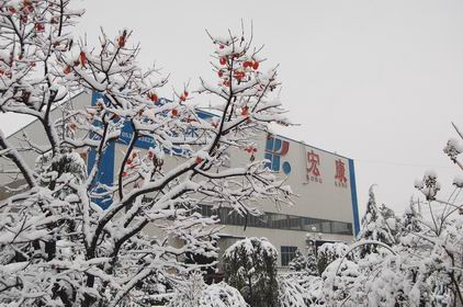 山东宏康机床：雪景一角.jpg